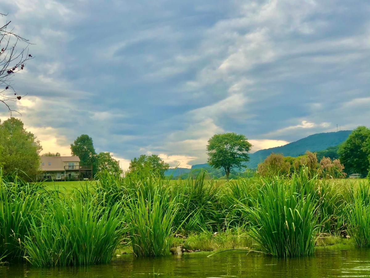 Little River Guest House At Tennessee Riverplace Chattanooga Dış mekan fotoğraf